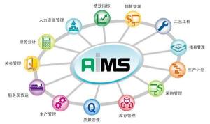 企業(yè)現(xiàn)金管理 高效資金運作的關鍵策略